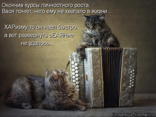 Свежая котоматрица для всех (20 шт)