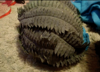 Хозяин, выпусти! 