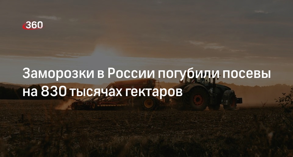 Минсельхоз: от заморозков в России погибло около 1% посевов
