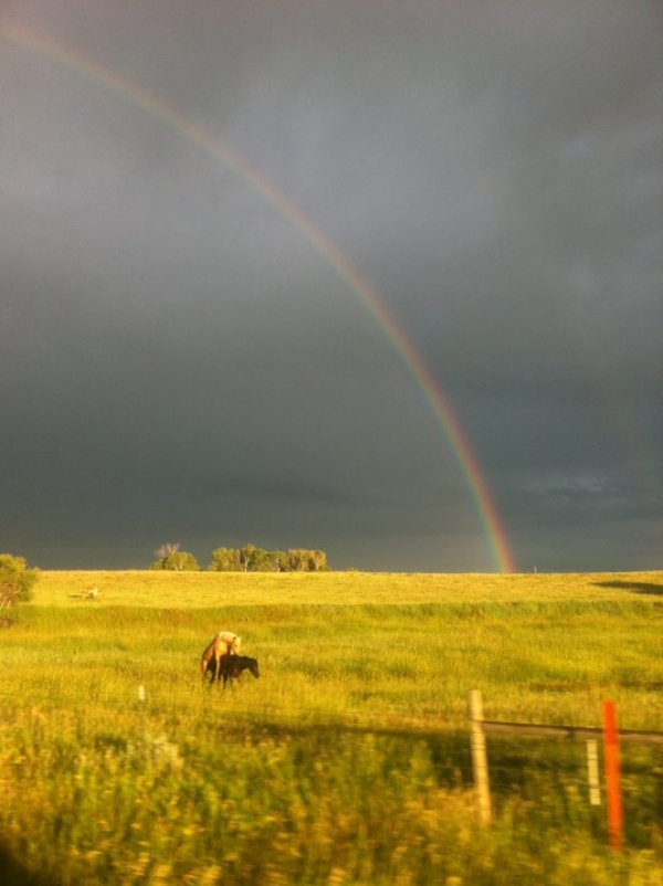 Смотри, радуга в небе! мир,природа