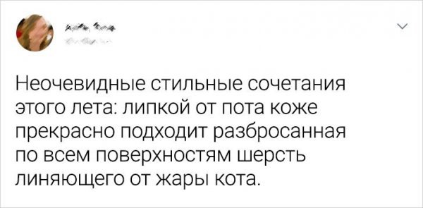 ПОДБОРКА ЗАБАВНЫХ ТВИТОВ О ЖАРЕ история,прикол,юмор