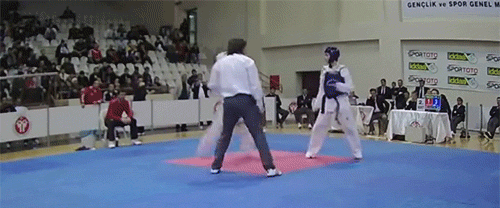 Веселые и забавные жизненные ситуации в гифках 