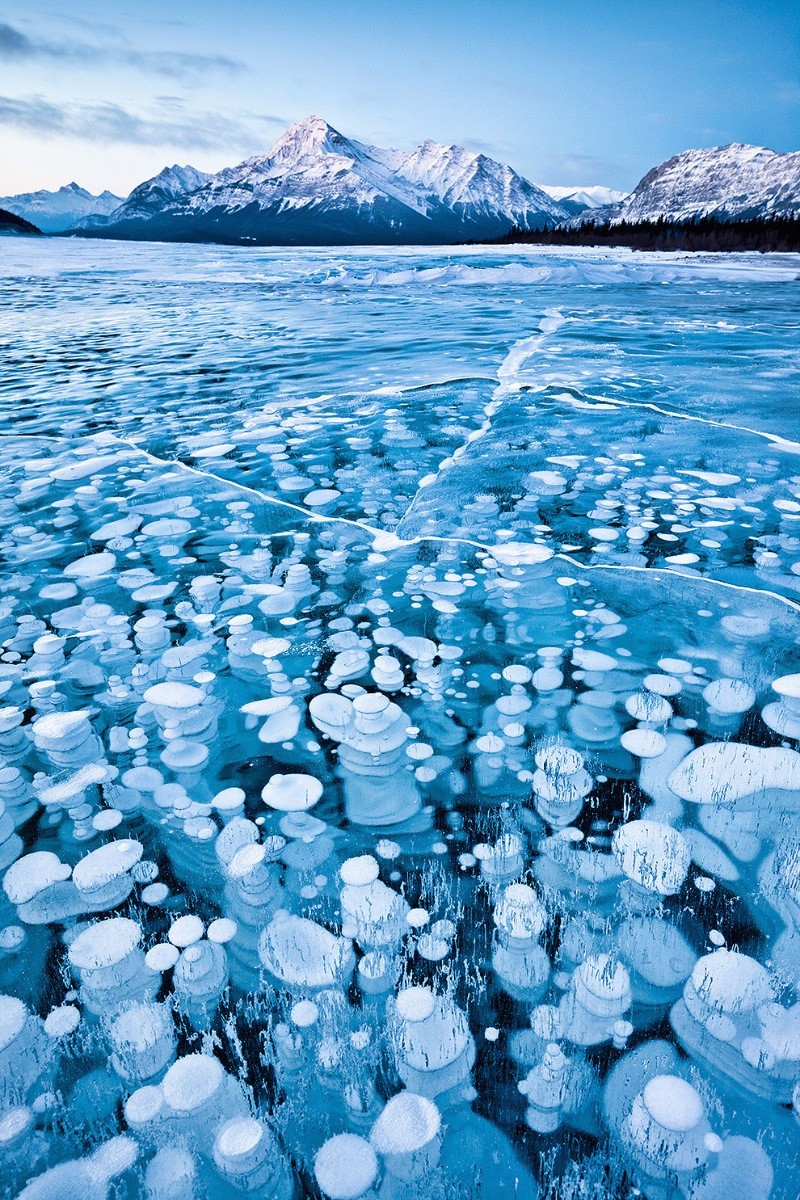 15. Ледяные пузыри озера Эйбрахам (Канада). Пузырьки метана, поднимающиеся со дна, замерзают на разной глубине - отсюда такой эффект природные феномены, природные явления