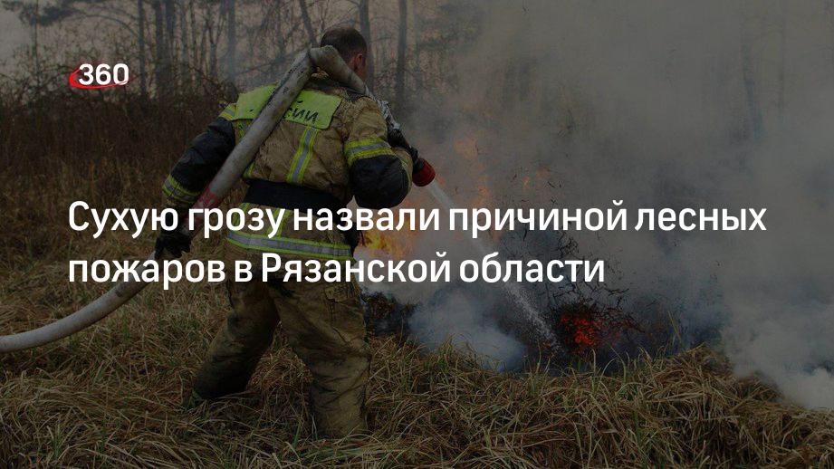 Правительство Рязанской области назвало причиной лесных пожаров сухую грозу