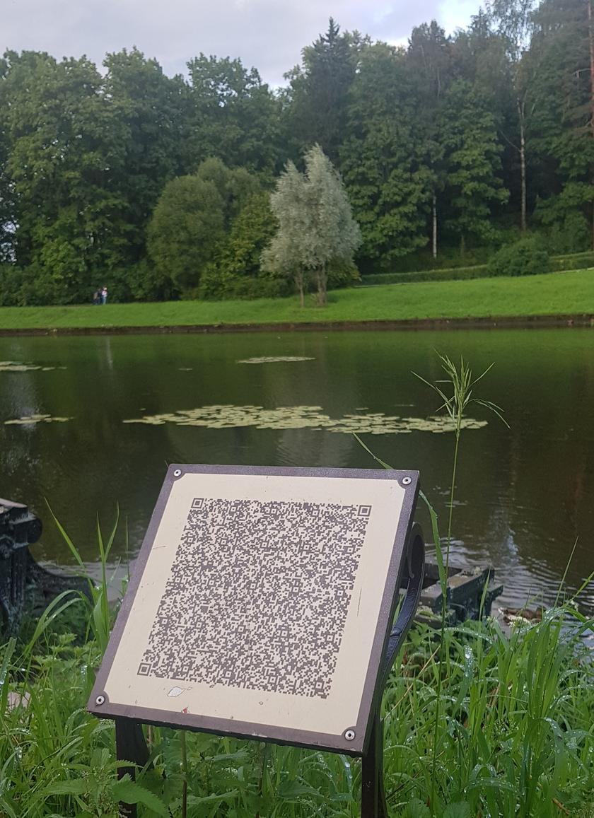 Цифрофашизм наступает: началась открытая дискриминация граждан, не использующих электронные «госуслуги» россия