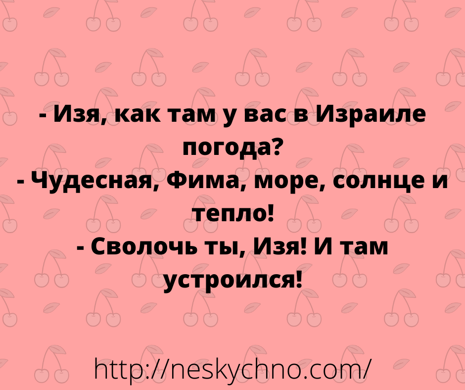 Несколько забавных историй для отличного настроения 