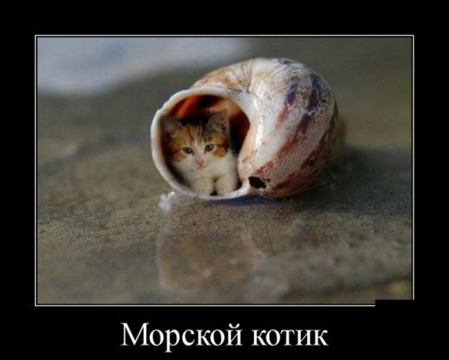 Подборка зачетных и смешных демотиваторо для хорошего настроения Подборка зачетных и смешных демотиваторо для хорошего настроения демотиваторы свежие,приколы,смешные демотиваторы,юмор