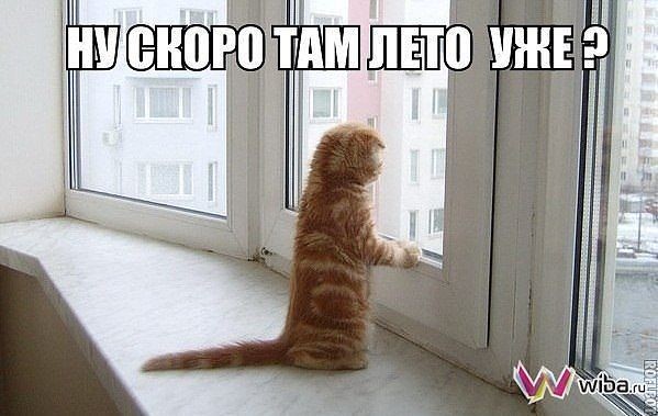 "Вот такое вот хреновое лето" 2017, лето, хреновое
