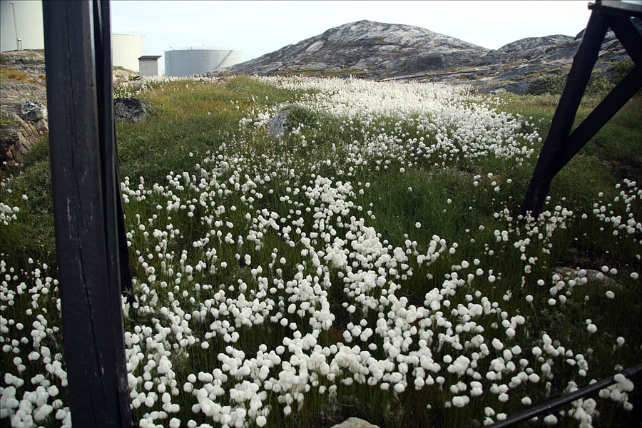 На краю света на яхте путешествия