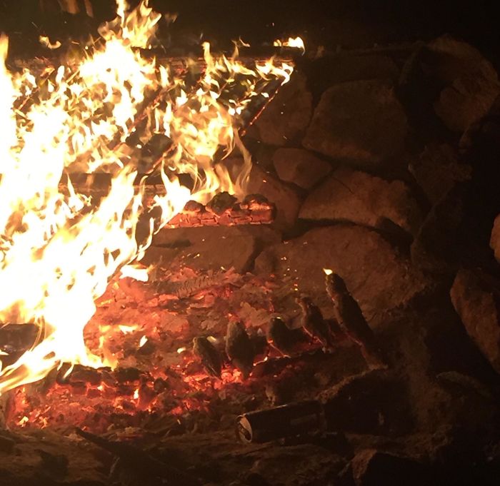 A Pallet Burned In Such A Way That It Looks Like Different Birds Sitting Next To Each Other And Enjoying The Fire
