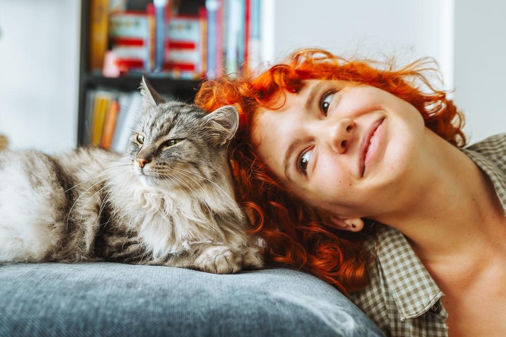 Привязываются, как дети к родителям: что на самом деле чувствуют кошки, когда расстаются с хозяевами кошка, кошки, стресс, может, когда, животное, хозяина, животным, заботиться, исследования, особенно, общения, жизни, только, месте, часть, кошек, случае, собой, адаптироваться