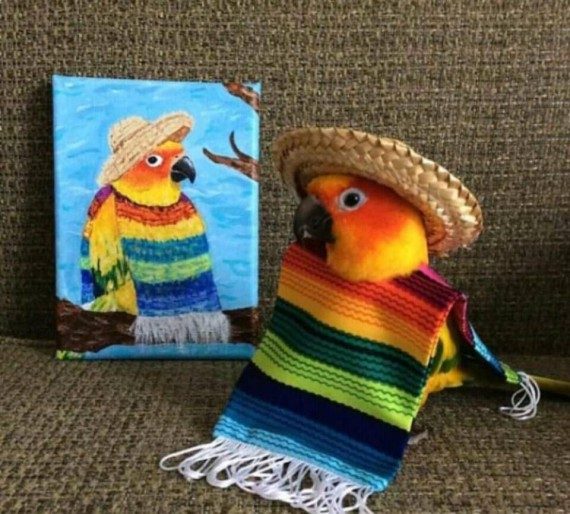 Супер позитивная подборка Супер позитивная подборка