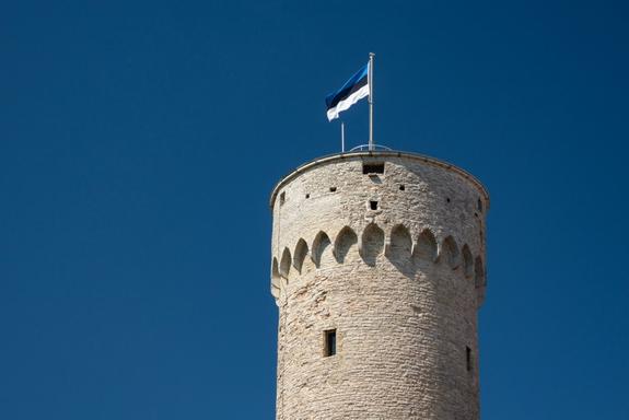 Эстония осмелилась помечтать о блокировке российского флота в Финском заливе