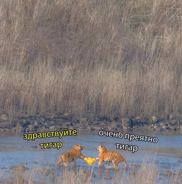 Подборка смешных картинок. Вечерний выпуск Подборка смешных картинок. Вечерний выпуск приколы,смешные картинки,юмор