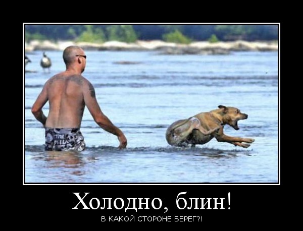 Смешные демотиваторы для хорошего настроения (11 фото)