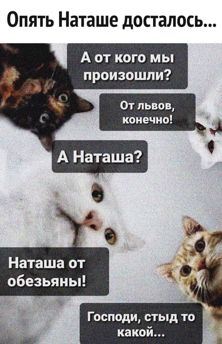 - Как тебя жена называет?  - Обезьяной... алкоголик, России, второй, всегда, человек, почему, Рaсстроился, изменения, некоторые, внесу, Мадам, отличный, умоляю, верните, Только, конечно, довольны, завещание, включу, Перестаньте