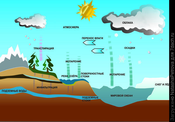 Схема круговорота воды в природе