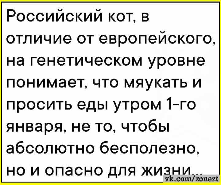 В борьбе с животом живот всегда оказывался на полшага впереди 