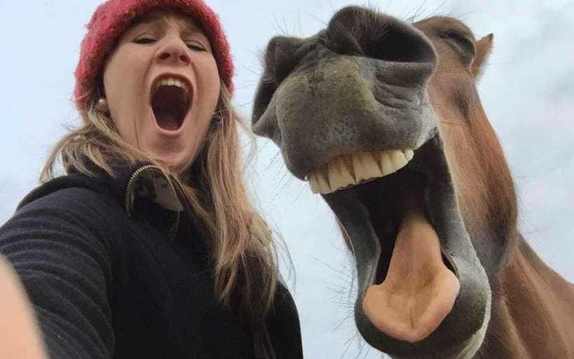 15 забавных фото домашних животных, из-за которых невозможно перестать смеяться