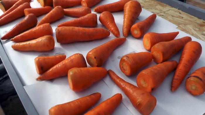 Как без погреба сохранить морковь и свеклу сочными корнеплоды, позволит, контейнер, морковь, Отсутствие, разлаживаются, ящики, Заполненные, листами, собой, между, разделяются, которые, слоями, застеленной, бумагойОвощи, складываются, известиОни, обваливаются, хвостикПросушенные