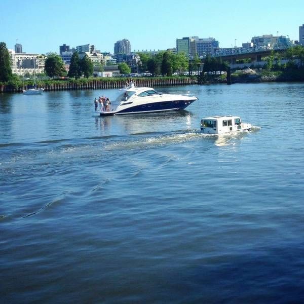 Прикольные картинки Прикольные картинки из сети, прикол, юмор