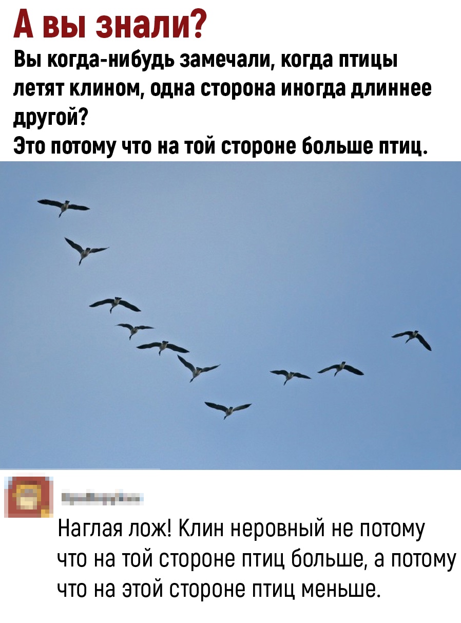 Убойные комментарии из соц.сетей Убойные комментарии из соц.сетей