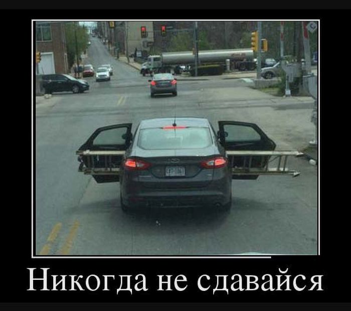 Никогда не сдавайся демотиватор, юмор