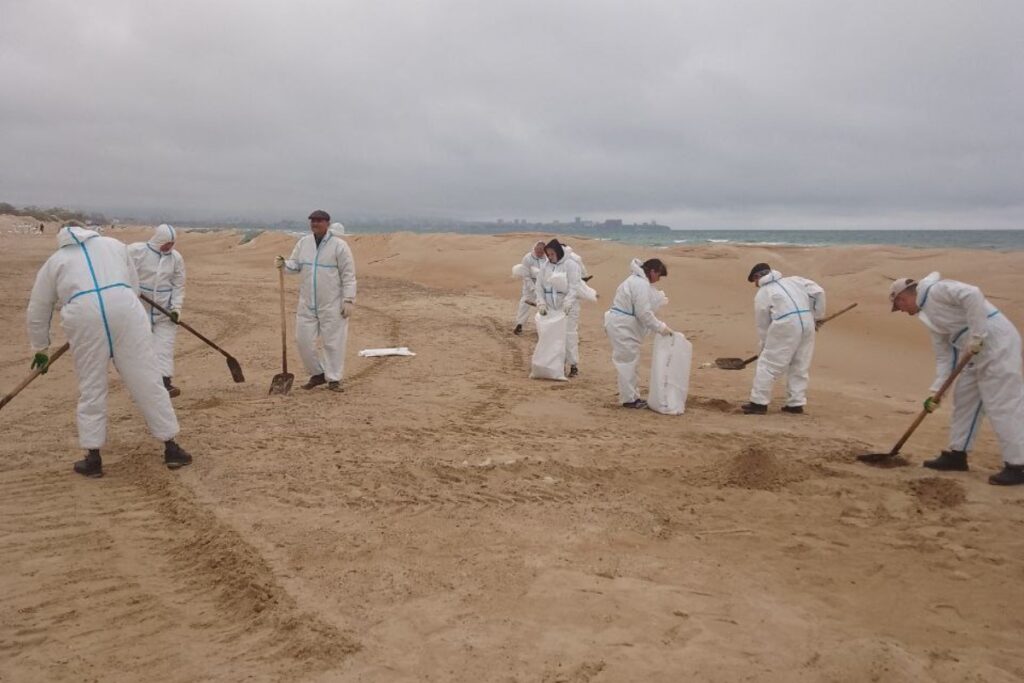 Сгустки мазута снова появились на пляжах Анапы