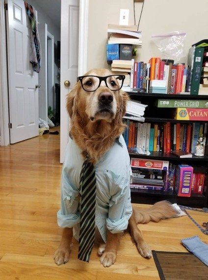 Супер позитивная подборка