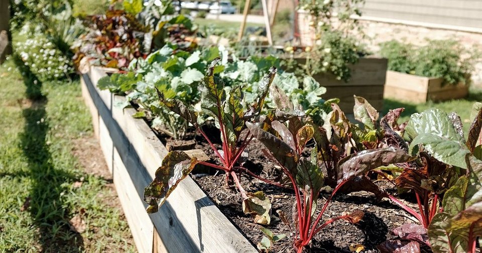 8 классных решений для сада, от которых часто отказываются  