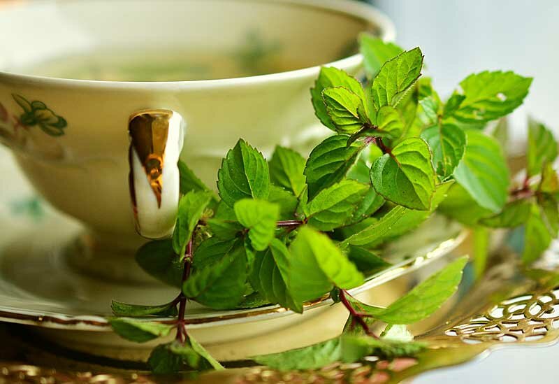 Готовим чай: ещё 5 полезных растений аромат, нотками, котовника, мелиссы, цветения, лимона, эффективен, обладает, применяется, органов, листьях, нотки, имеет, лимонный, активный, более, насыщенный, сезон, утонченный, свойствами