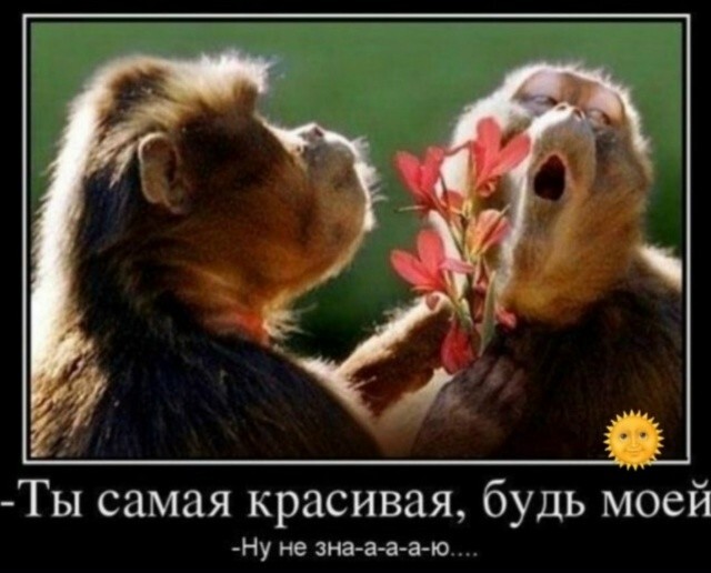 В мужском представлении, счастливая и крепкая семья - это когда жена жалуется мужу на мать, а не матери на мужа...