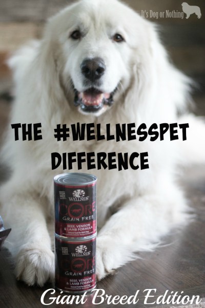Do you feel completely comfortable with the food you are feeding your giant breed dog? While we feed a rotation diet that includes "all life stages" foods, large breed formulas are great for peace of mind about nutrients. Check out our preferred large breed formula!
