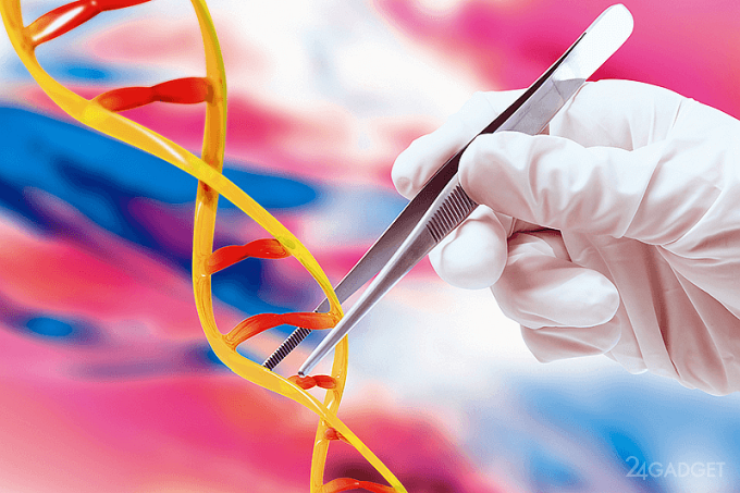 Российский учёный повторит опыт коллеги из Китая и отредактирует геном человека