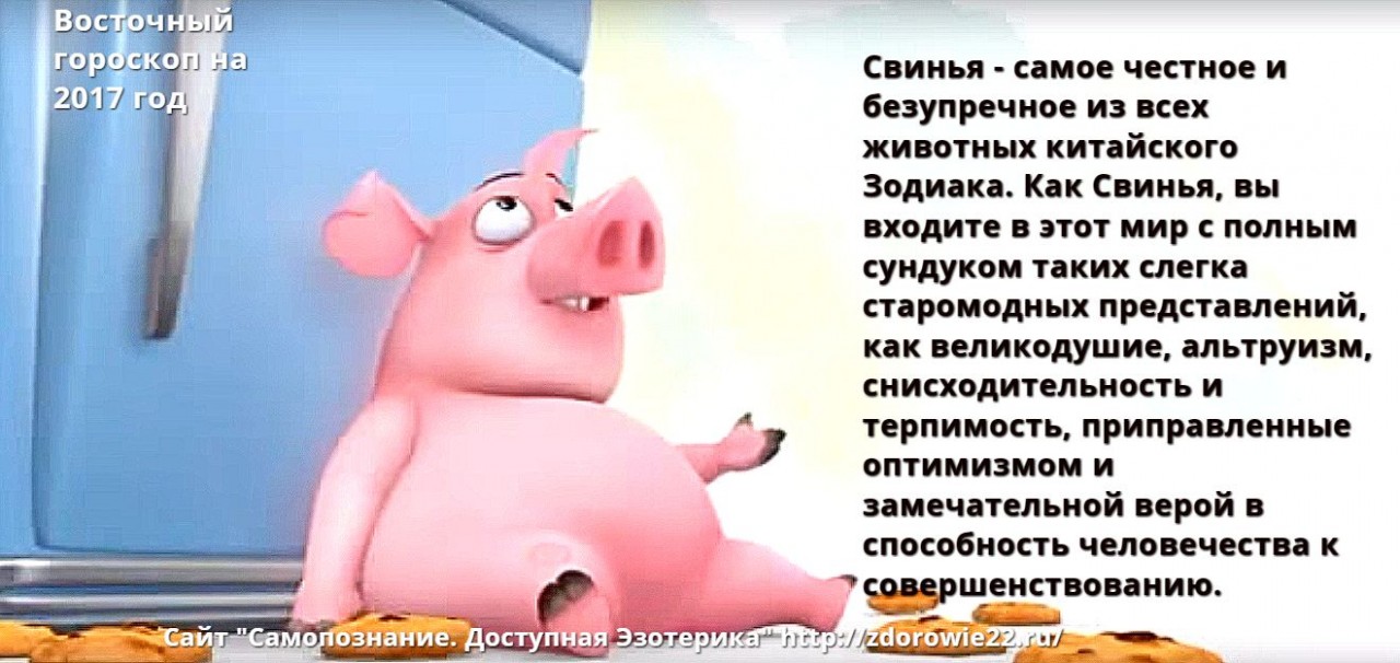 Года по календарю свинья Подробный Восточный гороскоп на 2017 год. - Все новости на 103news.com
