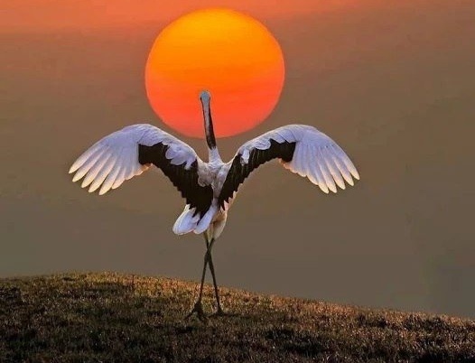 Классные фотографии и шикарные картинки для улыбки и позитива Классные фотографии и шикарные картинки для улыбки и позитива красивые фотографии,прикольные картинки,шикарные фотографии