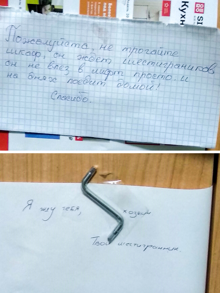 15+ неожиданно добрых историй о людях, которые достойны звания «Соседи года» Жизнь