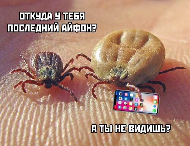 Подборка юмора в картинках и фотках Подборка юмора в картинках и фотках