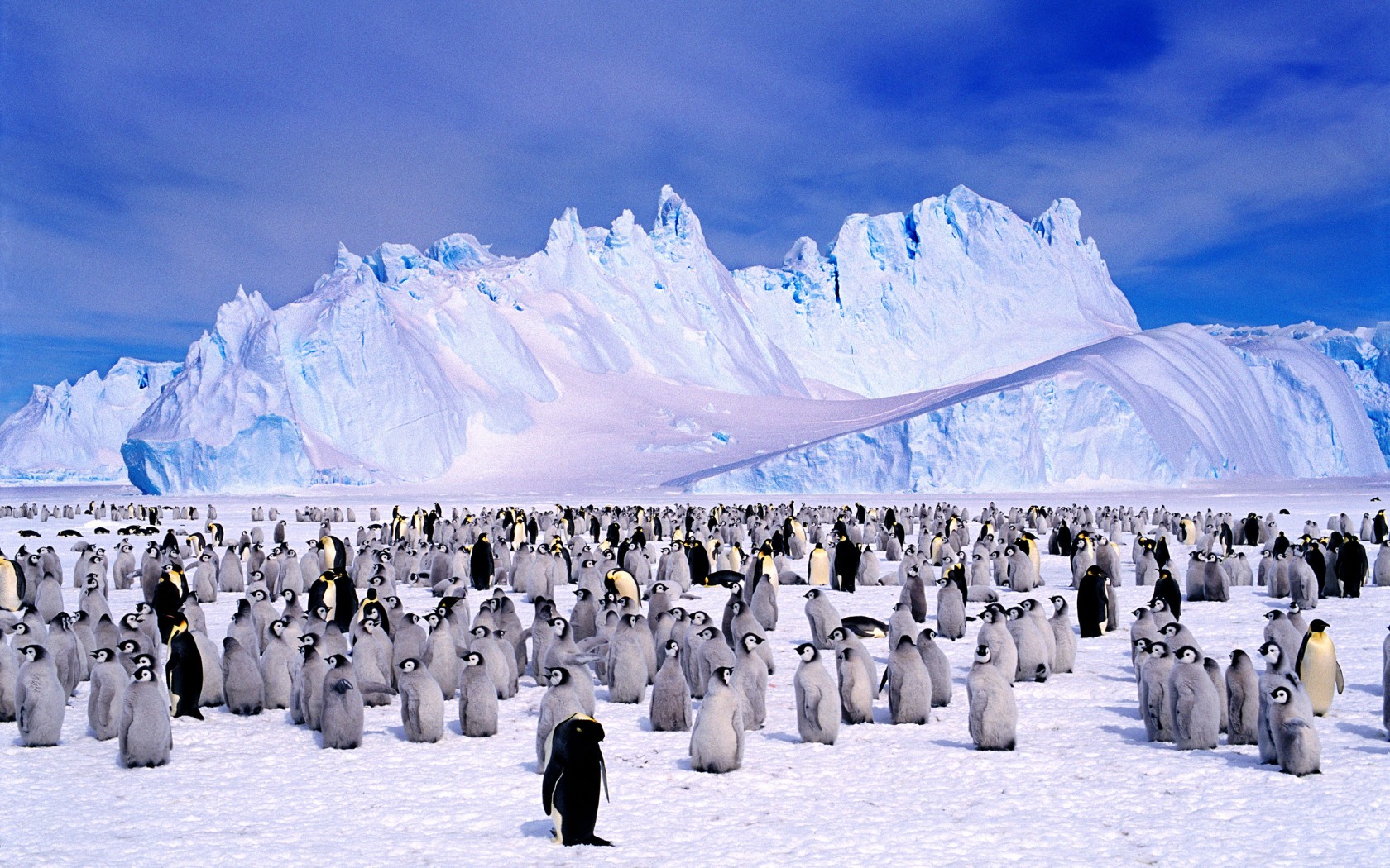 В середине 20 века антарктида для многих. Южный полюс Антарктида. Южный полюс Антарктика. Южный полюс Антарктида фото. Северный полюс Антарктика.