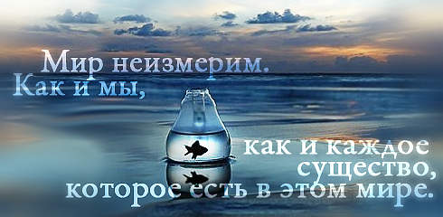 цитаты со смыслом и картинки с цитатами цитаты со смыслом и цитаты в картинках 56