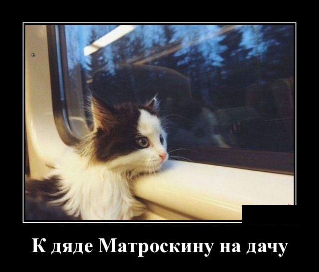 Подборка смешных и позитивных демотиваторов для поднятия настроения веселые демотиваторы со смыслом