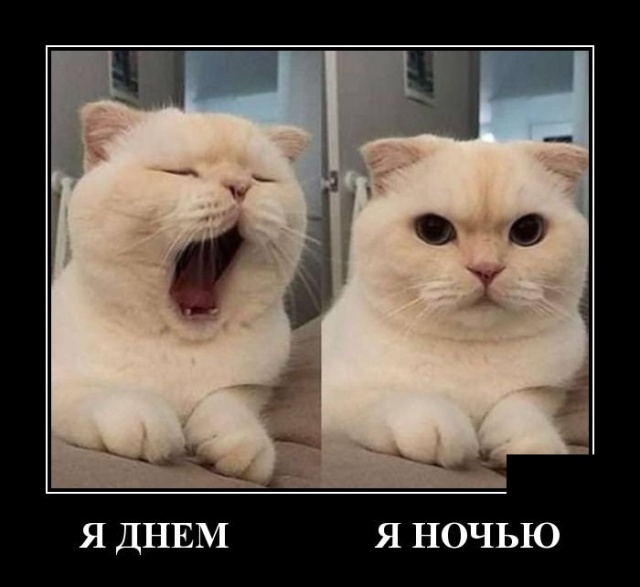 Подборка зачетных и смешных демотиваторо для хорошего настроения Подборка зачетных и смешных демотиваторо для хорошего настроения демотиваторы свежие,приколы,смешные демотиваторы,юмор