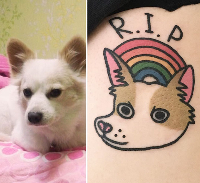 Pet Tattoo