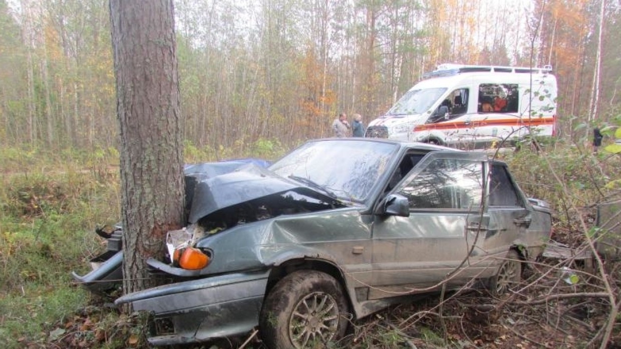 Пятеро подростков пострадали в ДТП с деревом под Владимиром