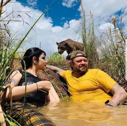 Весьма странные дела...