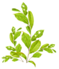 0_9bf60_fa4e2555_M.png