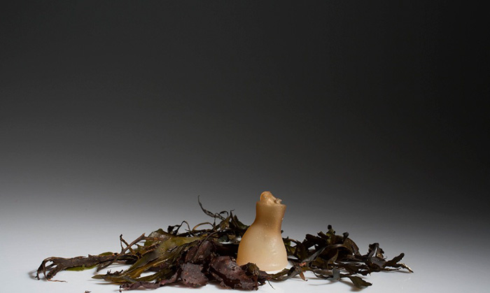 биоразлагаемые бутылки из водорослей 