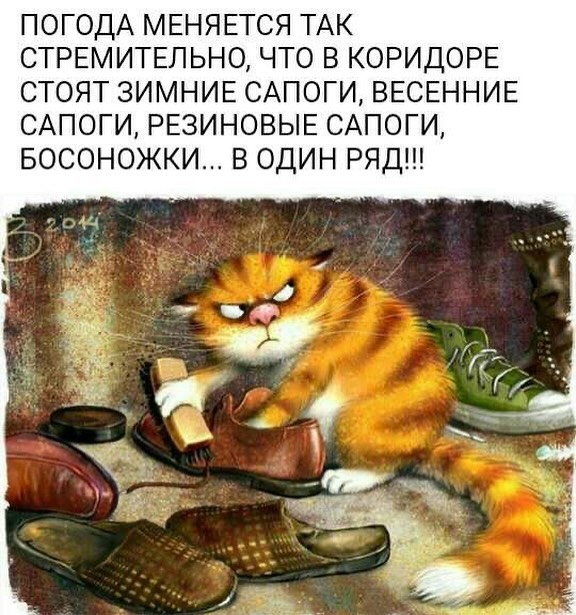 Весна, хочется влюбиться, но жена и теща против... Весна, хочется влюбиться, но жена и теща против... Скандинавские, лениным, новых, сапогах, юностью, облаках, небом, мешке, котом, майне, франкфуртом, разливе, незнайкой, палки, кухне, хозяйкой, должна, Женщина, палками, ходишь