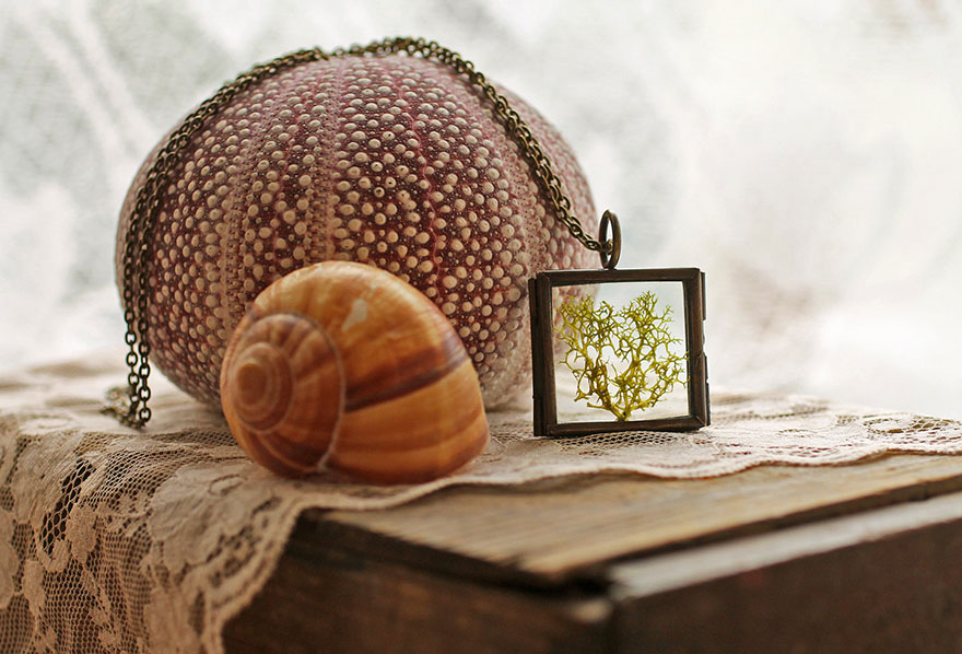 бижутерия с частичкой природы внутри