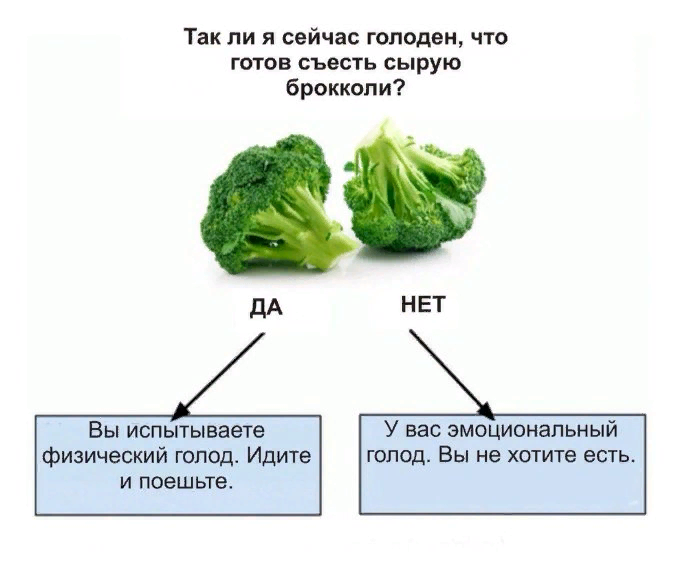 Какие виды голода у нас бывают и как они на нас влияют голода, голод, который, появляется, очень, просто, таком, много, достаточно, происходит, нужно, стоит, пищеварения, случае, центры, Здесь, утолить, котором, слишком, уровень